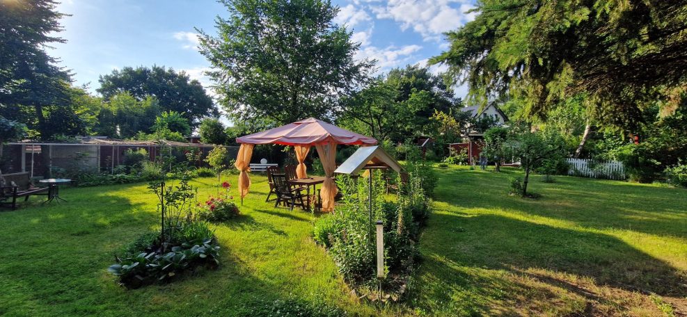 Großer Garten mit Sitzmöglichkeiten in der Ferienwohnung Geltow