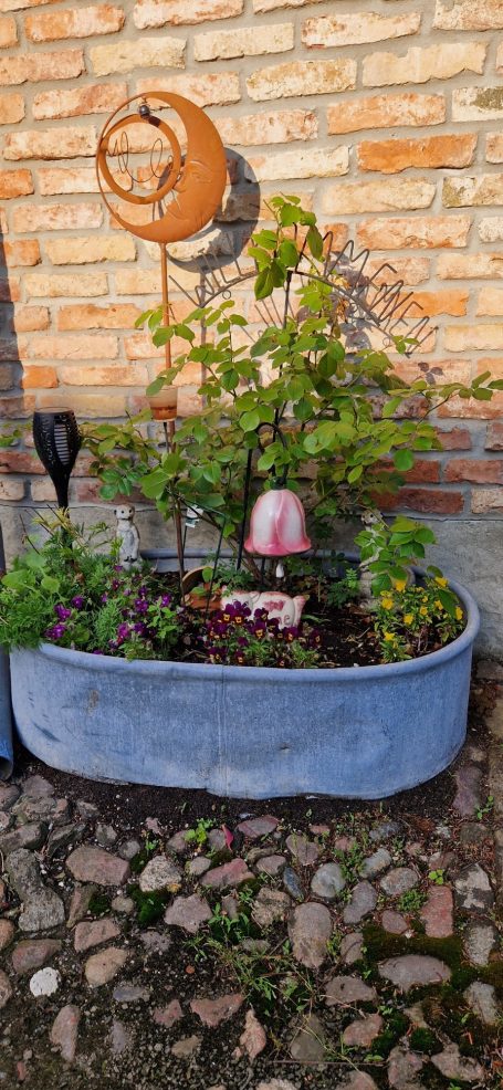 Blumenkübel mit liebevoll dekorativen Pflanzen im Garten der Ferienwohnung Geltow